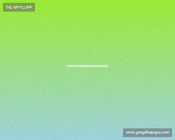 防铁闸建设与管理的创新探索及其在城市交通安全中的应用研究 防铁闸建设与管理的创新探索及其在城市交通安全中的应用研究