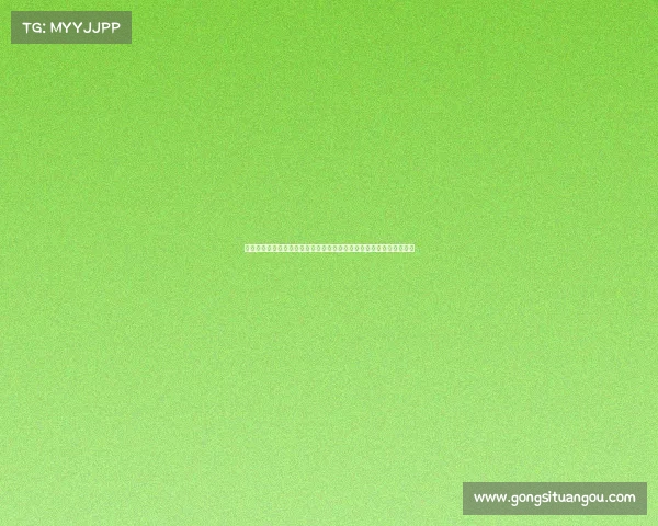 西甲精彩赛事全程直播平台，实时观看与互动，带你领略顶级足球盛宴